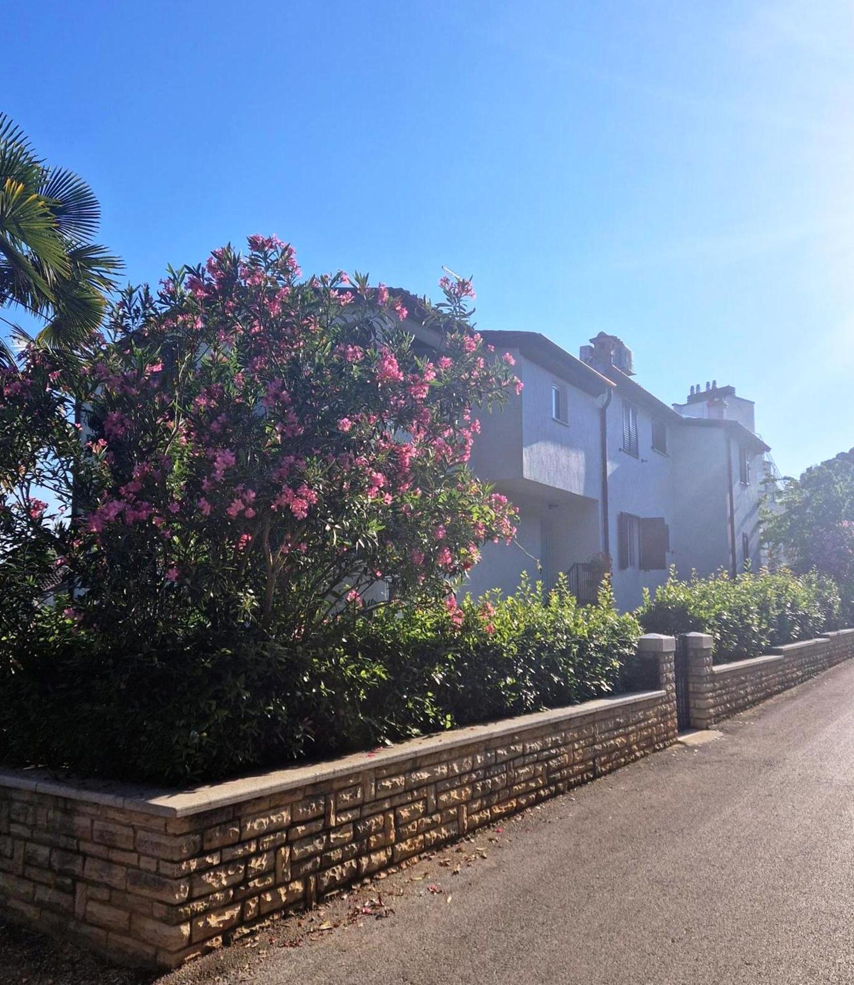Molo View Apartment Rovinj Buitenkant foto